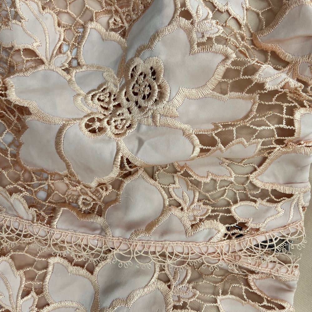 Lover + Friends "Life's a Beach" Lace Crop Top in Papaya - Size XS - Picture 9 of 12